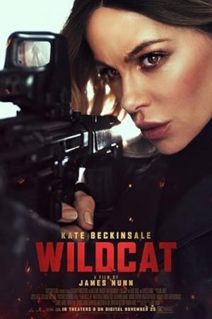 Wildcat.jpg